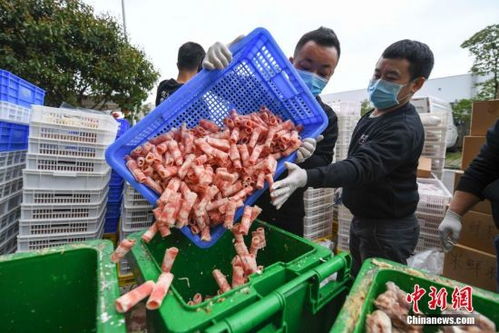 長沙一企業集中處理3噸過期食品