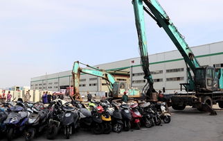 浙江臺州路橋區(qū)集中銷毀侵假冒物資50余噸 貨值超700萬元