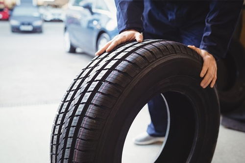 平涼市浴室置物架銷毀處理實施方案